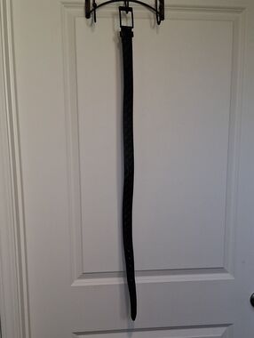 Guess Black Reptile Habitat Hanging Strap - Secure Support for Terrariums